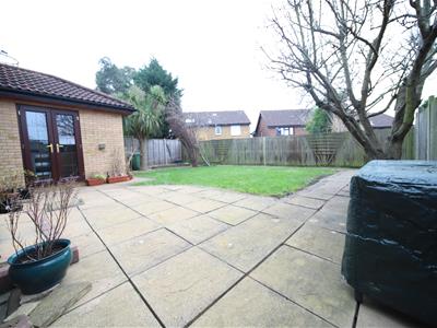 Picture 15